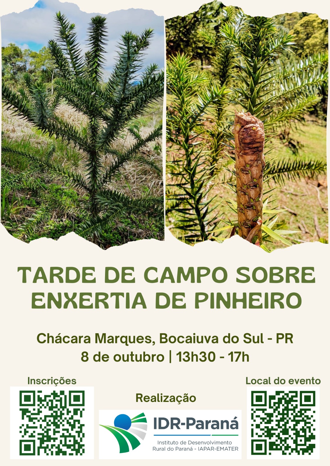 Tarde de Campo