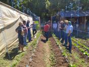 IDR-Paraná inova no uso de metodologia para capacitação técnica em agricultura orgânica