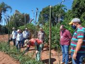 IDR-Paraná inova no uso de metodologia para capacitação técnica em agricultura orgânica