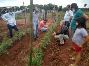 IDR-Paraná inova no uso de metodologia para capacitação técnica em agricultura orgânica