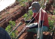 IDR-Paraná inova no uso de metodologia para capacitação técnica em agricultura orgânica