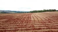 Combate à compactação do solo aumenta produtividade da agropecuária
