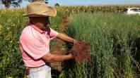 Combate à compactação do solo aumenta produtividade da agropecuária