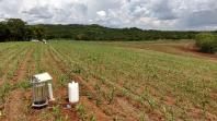 Combate à compactação do solo aumenta produtividade da agropecuária