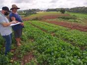 Ações integradas entre IDR-Paraná e Ceasa promovem qualificação na agricultura familiar