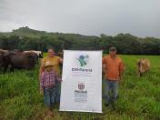 Produtor de Iretama investe em pasto e aumenta a produção de leite 