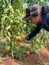 Mulheres Rurais: “Por mais difícil que seja a caminhada, não desista. É muito prazeroso ver o seu sonho realizado” - a luta de uma mulher rural assentada