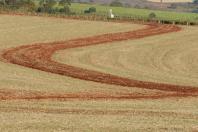 Estudo com participação de pesquisador do IDR-Paraná aponta crescimento da agricultura sustentável