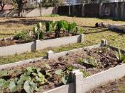 Com o apoio do IDR-Paraná, colégio estadual de Curitiba se destaca com projeto sustentável