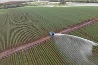 Série Banco do Agricultor Paranaense: Conheça os critérios para a aprovação de projetos para Pecuária de leite, Pisicultura e Irrigação.