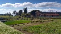 Horto Medicinal na Estação CPRA resgata conhecimentos sobre plantas medicinais