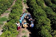 Projeto Mulheres do Café valoriza produtoras e garante fama internacional ao Norte Pioneiro