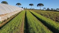 Ações na Bacia do rio Miringuava preservam recursos naturais