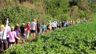 IDR-Paraná prepara retorno das Caminhadas na Natureza