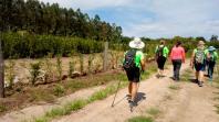 IDR-Paraná prepara retorno das Caminhadas na Natureza