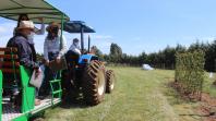 IDR-Paraná inaugura viveiro em Santa Tereza do Oeste para melhorar produção de uva