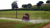 Novo decreto federal exige capacitação para aplicadores de agrotóxico