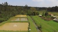 Piscicultura faz parte da formação de estudantes da Casa Familiar Rural de São Mateus do Sul