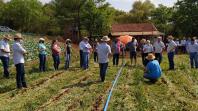 Instituto estimula a produção de hortaliças de forma sustentável na região Oeste