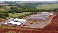 Paraná investe em programas para tornar o setor agropecuário cada vez mais sustentável 