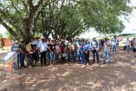 IDR-Paraná organiza eventos técnicos de fruticultura e repassa conhecimentos para produtores e técnicos