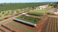 IDR-Paraná organiza eventos técnicos de fruticultura e repassa conhecimentos para produtores e técnicos