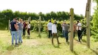 Fruticultores participam de tarde de campo sobre pós colheita