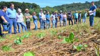 IDR-Paraná fecha o ano vencendo desafios e apontando caminhos para o produtor paranaense