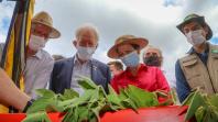 Ministério da Agricultura e Estado avaliam efeitos da estiagem e apoiam produtores do Paraná