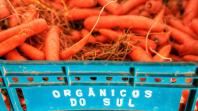 Com milhares de produtos certificados, Paraná aposta no cultivo de orgânicos