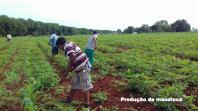 Famílias beneficiadas pelo Renda Agricultor Familiar têm suas histórias narradas em revista