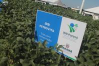 Show Rural: IDR-Paraná entrega cultivares ao setor produtivo