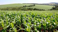 Sistema de Agricultura do Estado orienta produtores sobre uso de fertilizantes no solo