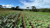 Dia Mundial da Água é comemorado com demonstrações de agricultura sustentável