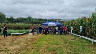 IDR-Paraná apresenta alternativas para uma agricultura mais sustentável e lucrativa nas culturas de feijão e milho