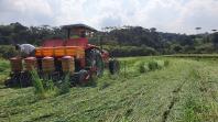 Em comemoração ao dia da água produtores do Miringuava mostram como é possível fazer uma agricultura sustentável e lucrativa