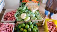 Série Orgânicos: Compras públicas impulsionam produção e consumo de alimentos orgânicos no Paraná