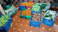 Série Orgânicos: Compras públicas impulsionam produção e consumo de alimentos orgânicos no Paraná