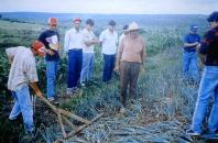 Extensão Rural comemora 66 anos de atuação no Paraná