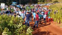 Dia de Campo do Projeto Mandioca Renda mostra resultados de cultivares