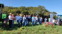 Dia de Campo do Projeto Mandioca Renda mostra resultados de cultivares