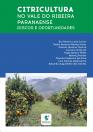 Publicação do IDR-Paraná discute citricultura no Vale do Ribeira