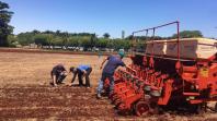 Parceria entre IDR-Paraná e Cocriagro traz smart farm como vitrine tecnológica de soluções inovadoras para produtores rurais