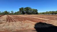 Parceria entre IDR-Paraná e Cocriagro traz smart farm como vitrine tecnológica de soluções inovadoras para produtores rurais