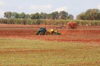 Plantio de soja volta à normalidade; safra deve alcançar 21 milhões de toneladas