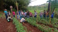 IDR-Paraná investe em capacitação para incentivar a produção agroecológica