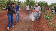 IDR-Paraná investe em capacitação para incentivar a produção agroecológica