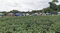 Smart Farm mostra inovações digitais para o agronegócio