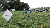 Smart Farm mostra inovações digitais para o agronegócio