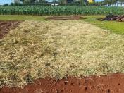 Show Rural: IDR-Paraná discute manejo da umidade do solo em lavouras anuais